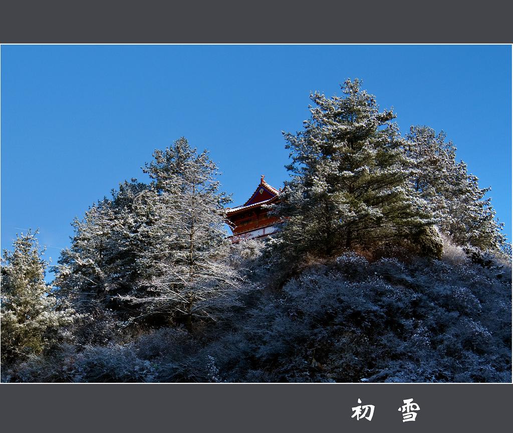 初雪 摄影 大草坝