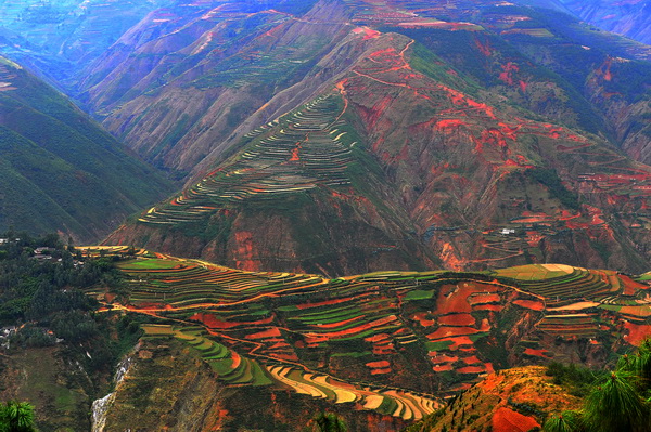 红土地印象之-线条 摄影 石峰子