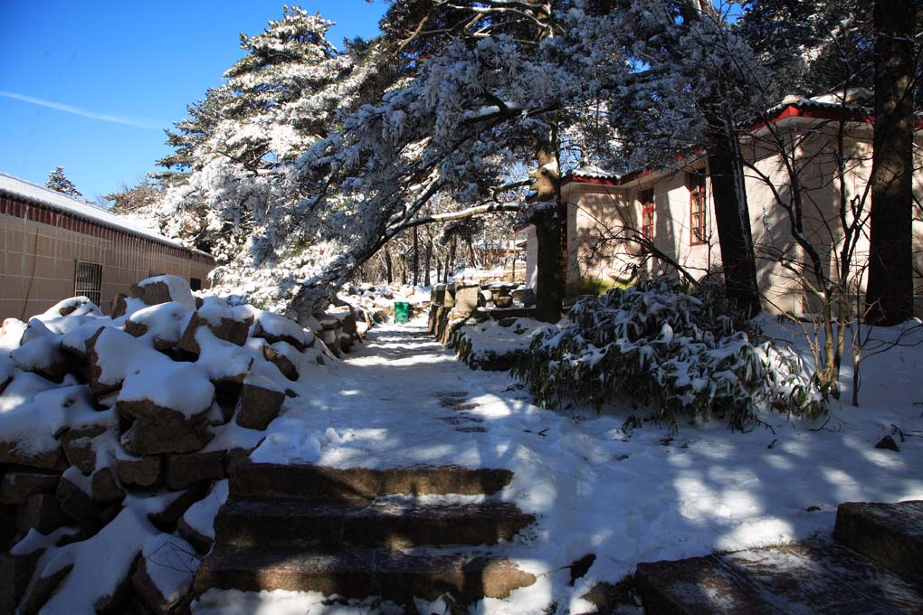 雪后黄山小景 1 摄影 拐杖