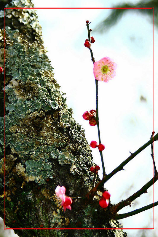 玉人 摄影 LiYong_sam