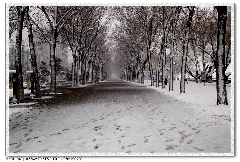 雪融春来 摄影 真诚走一回