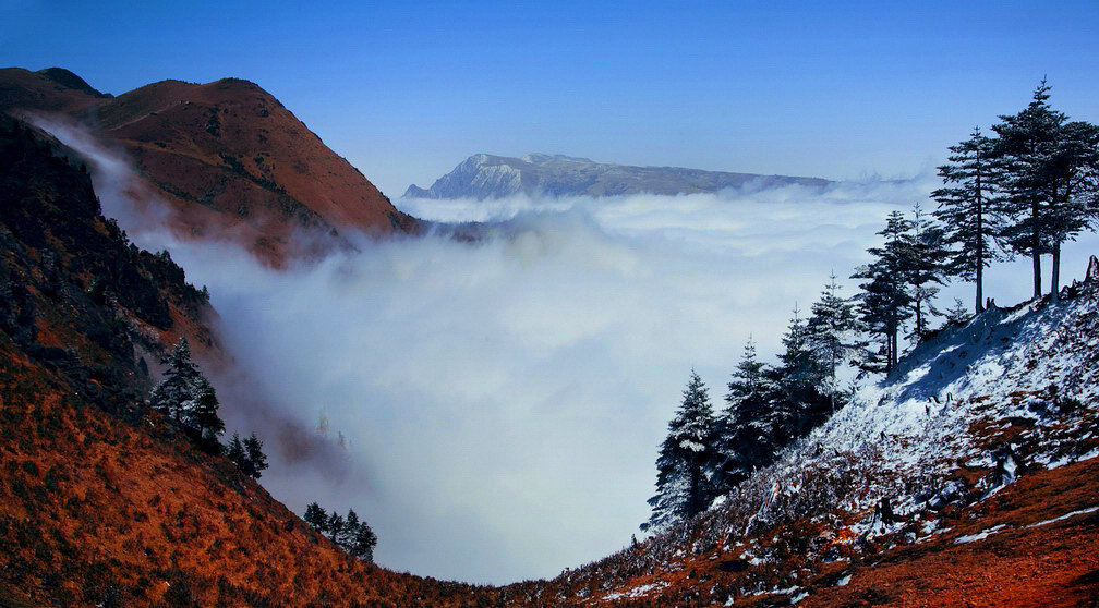 我的后山（冬j32） 摄影 袁德洪