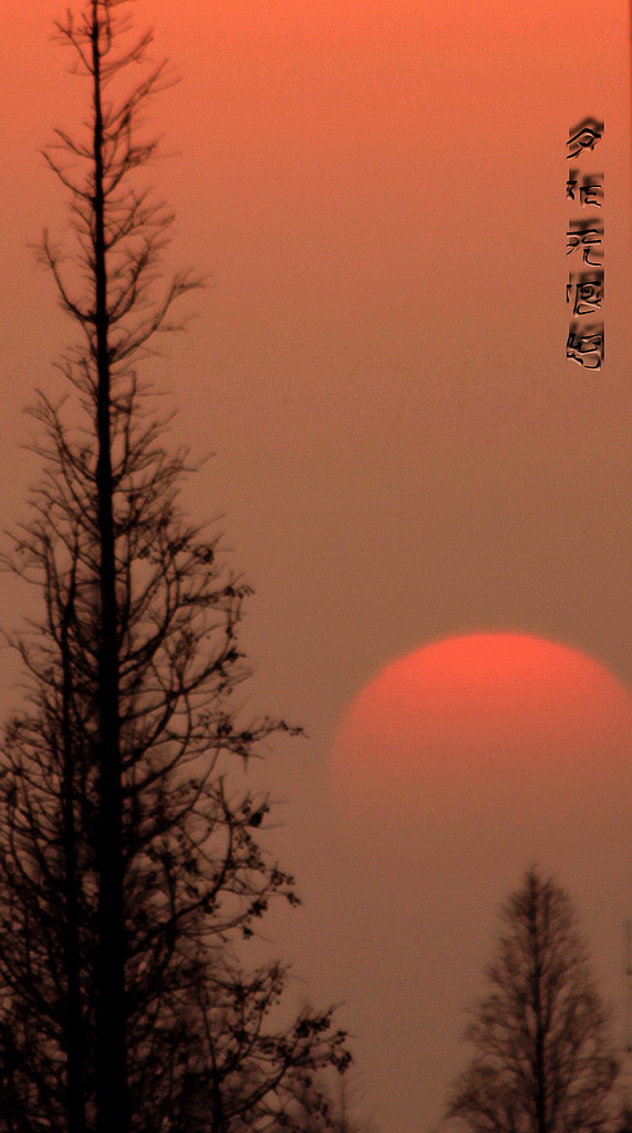 夕阳无限好 摄影 老铁老铁