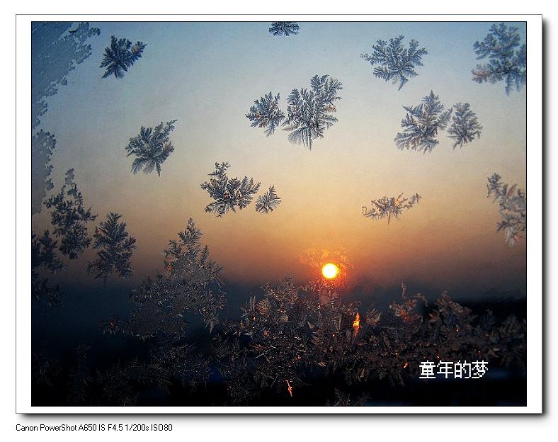 冰花 摄影 小豆儿