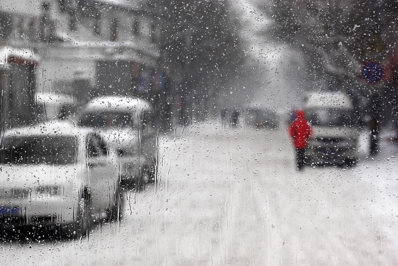 雪中丽影 摄影 用心看世界