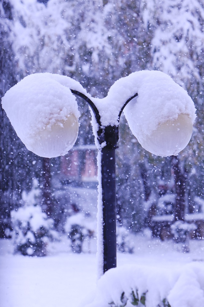 北京今年大雪 摄影 山野樵夫