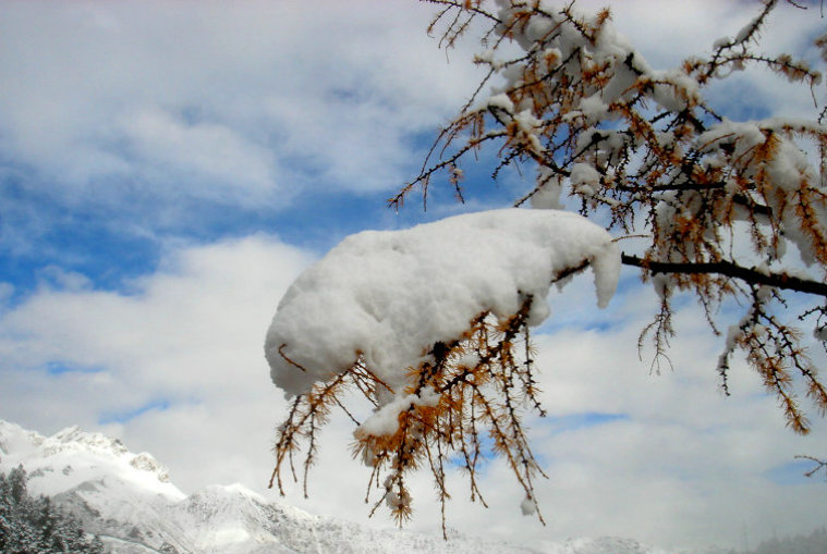 冬雪图3 摄影 天梦