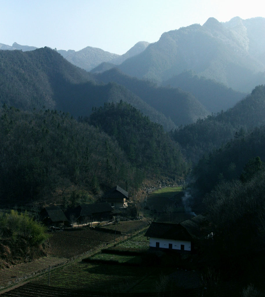 大山深处 摄影 冬谷子