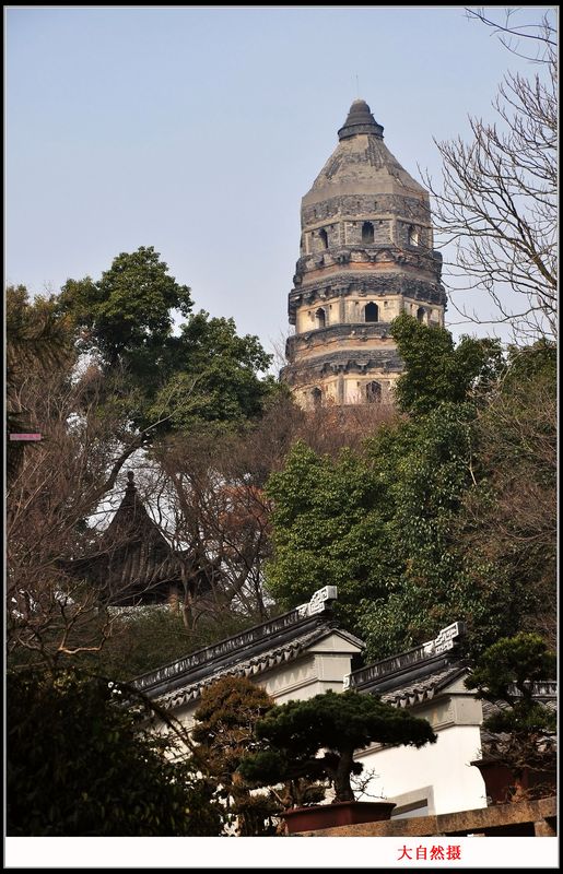 苏州虎丘塔 摄影 洞庭水