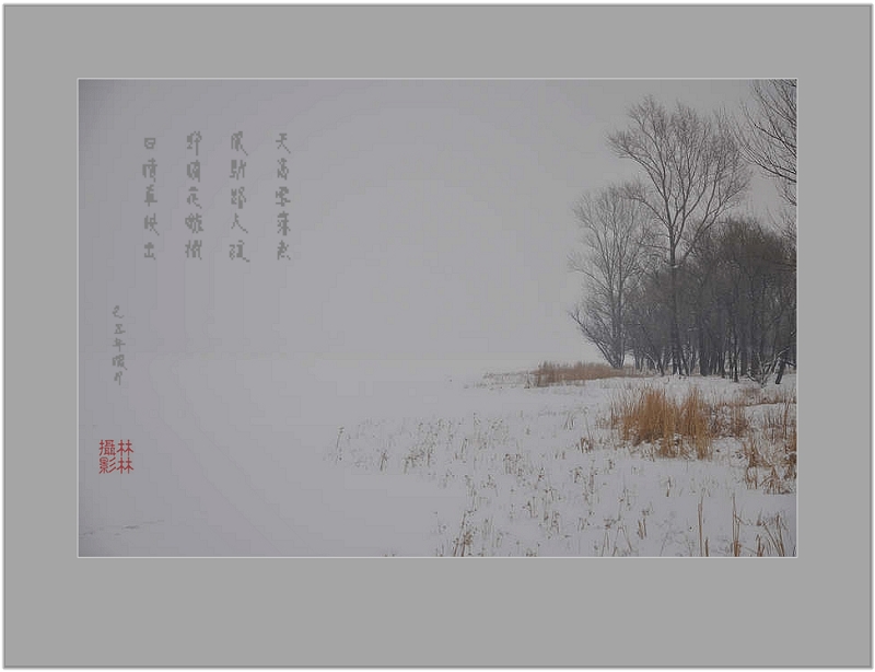 【 雪冬远郊即景 】 摄影 林小慧