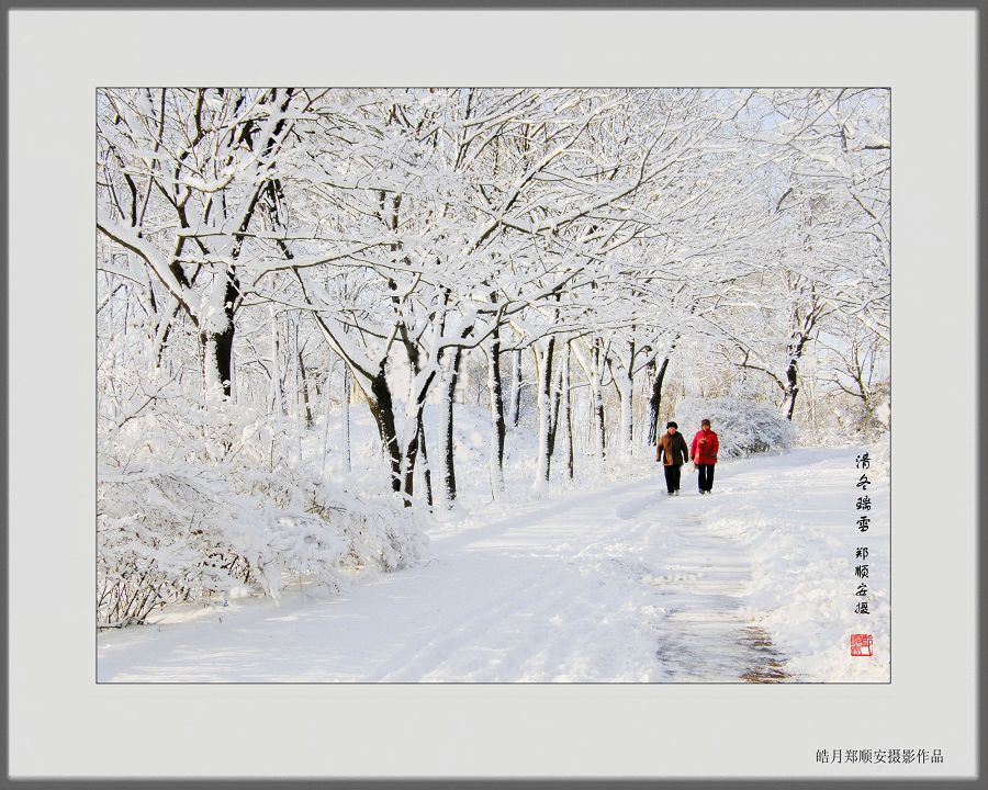 清冬瑞雪 摄影 皓月郑顺安