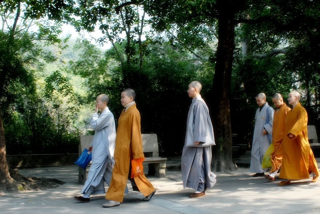 比丘尼的步履 摄影 垦荒牛