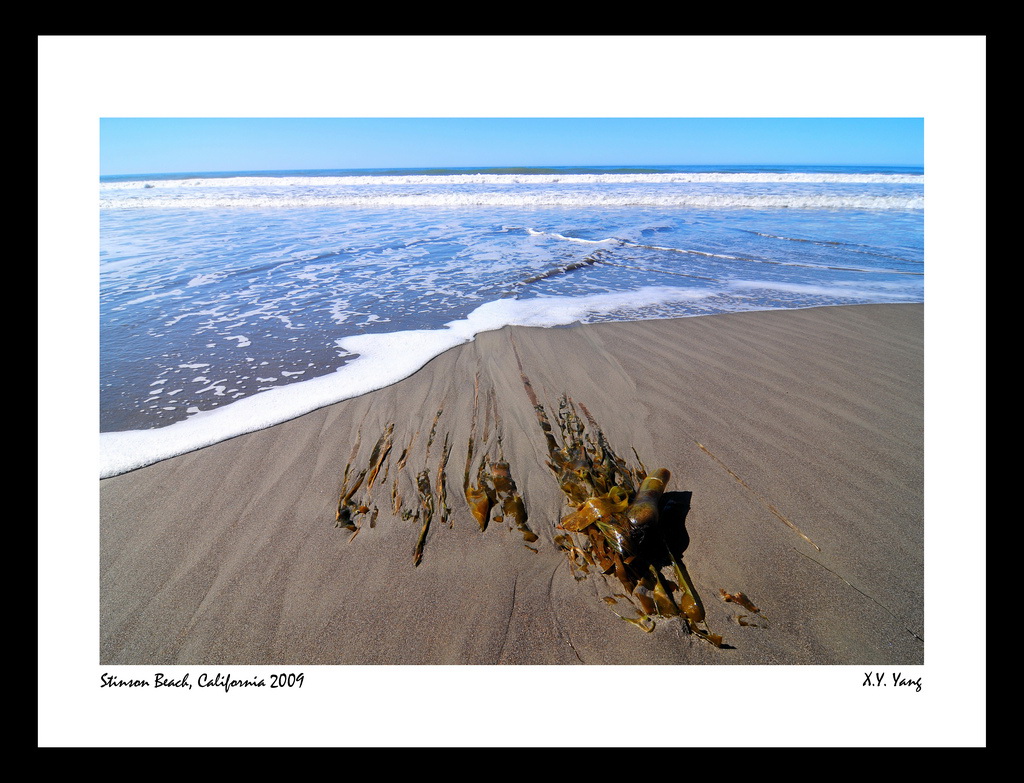 Stinson Beach 摄影 tigerbite