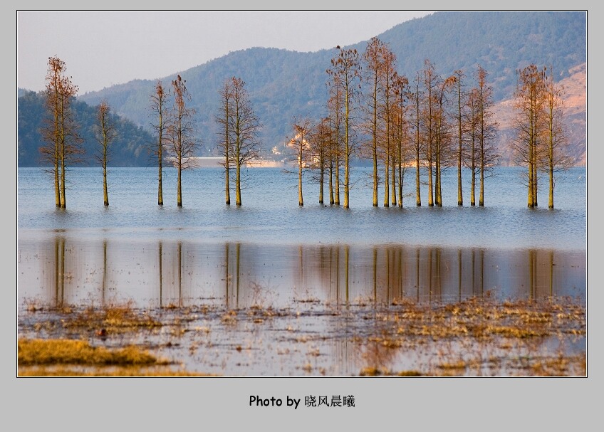 《水中风景线》 摄影 晓风晨曦