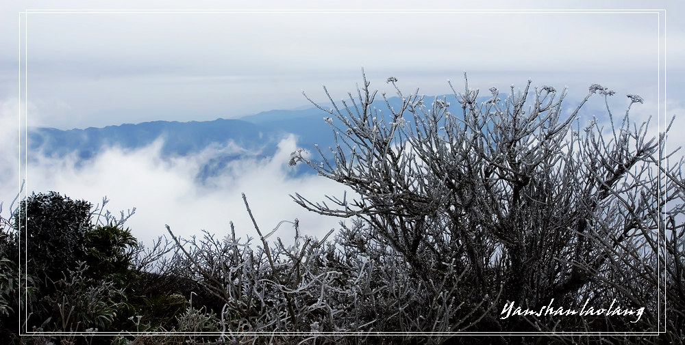 雷公山雪景3 摄影 燕山老狼