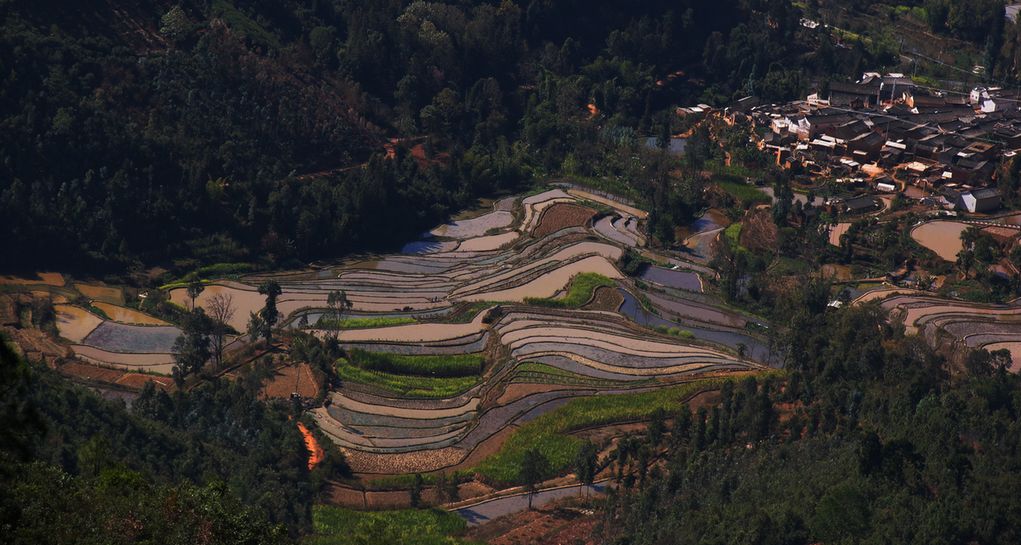 龙口田园风光1 摄影 光影涤荡