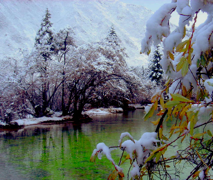 冬雪图4 摄影 天梦