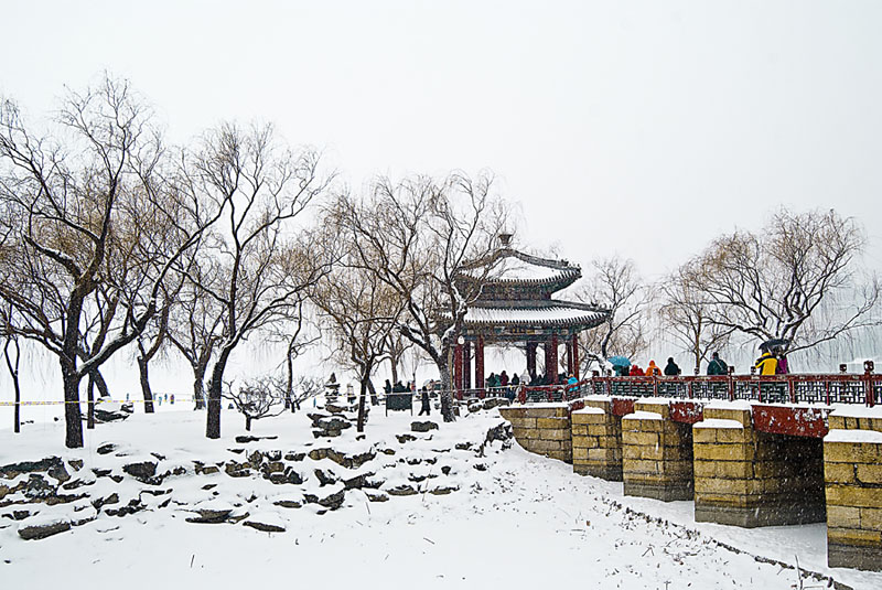 看雪去 摄影 岩影