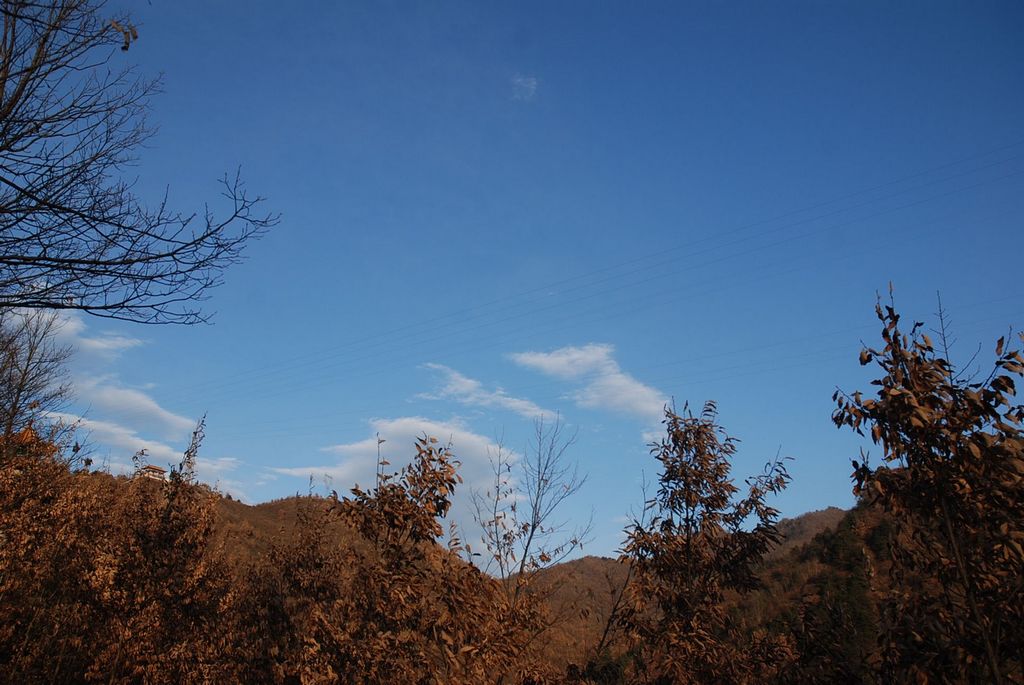 冬日的天空 摄影 草长莺飞