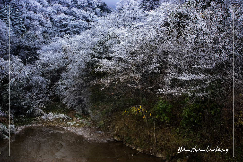 冰雪雷公山 摄影 燕山老狼