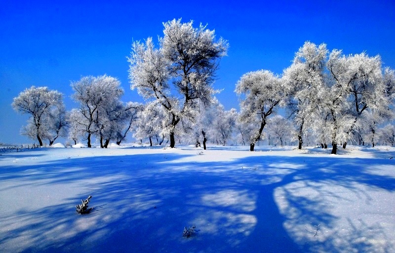 雪影雾凇 摄影 名晏