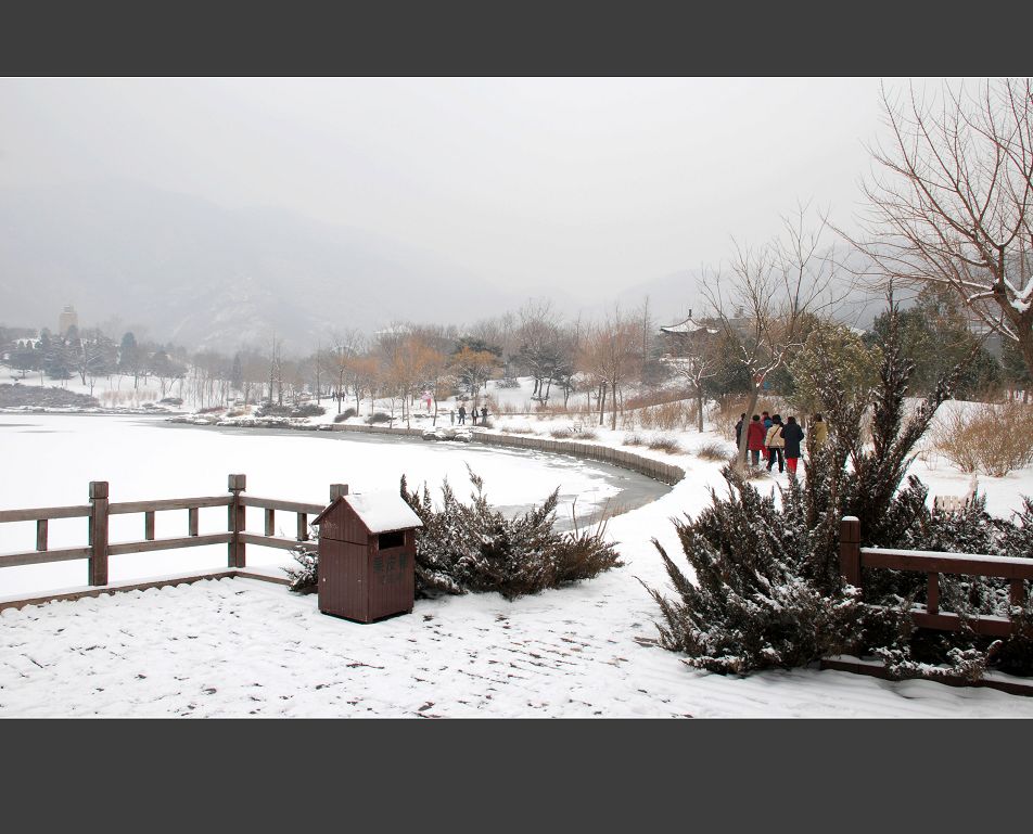 北京植物园雪景 摄影 花皮蛇