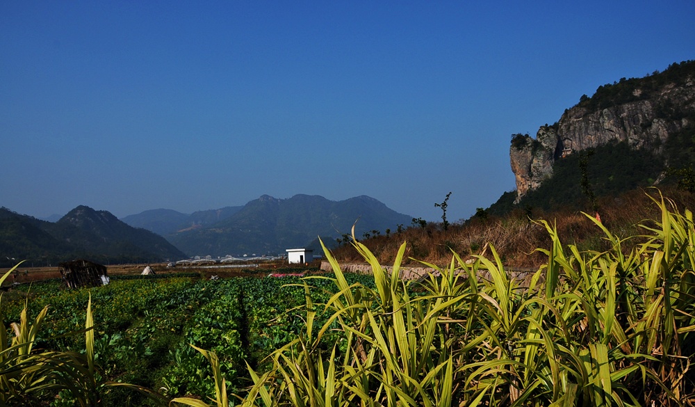 2010--12（田野......） 摄影 工行远见