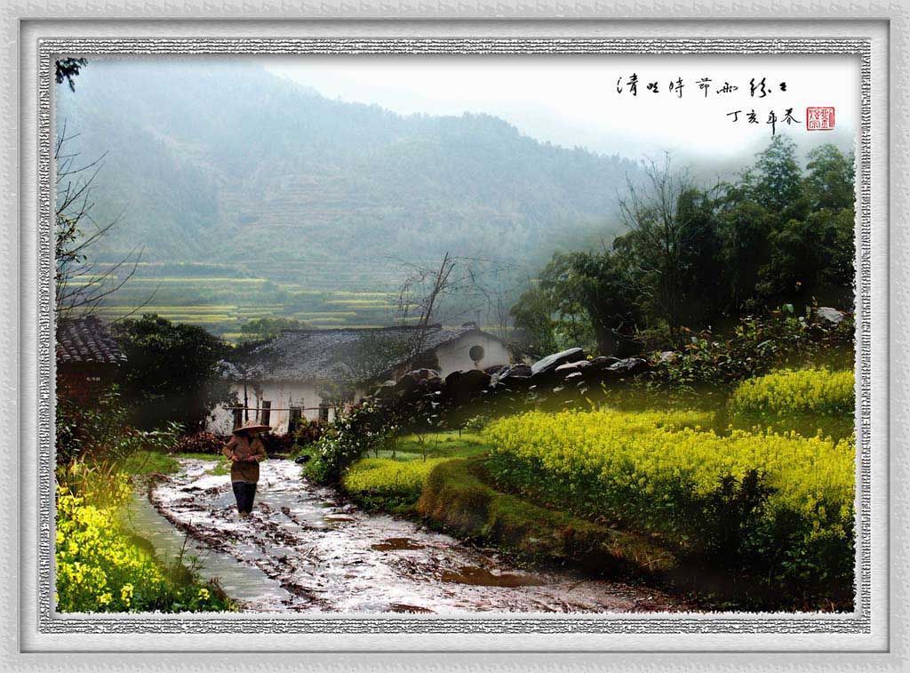 清明时节雨纷纷 摄影 晩秋