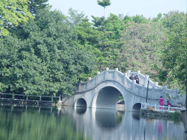 小桥 摄影 红棉