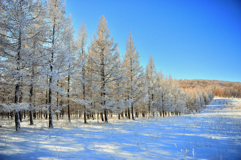 坝上雪景 8 摄影 萍踪感念