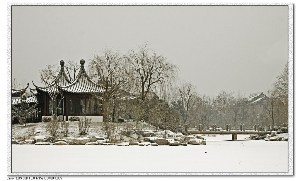 旺兴公园——雪 摄影 老士兵