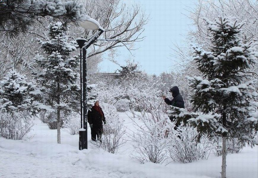 美丽的雪景-------咔嚓 摄影 付炳权