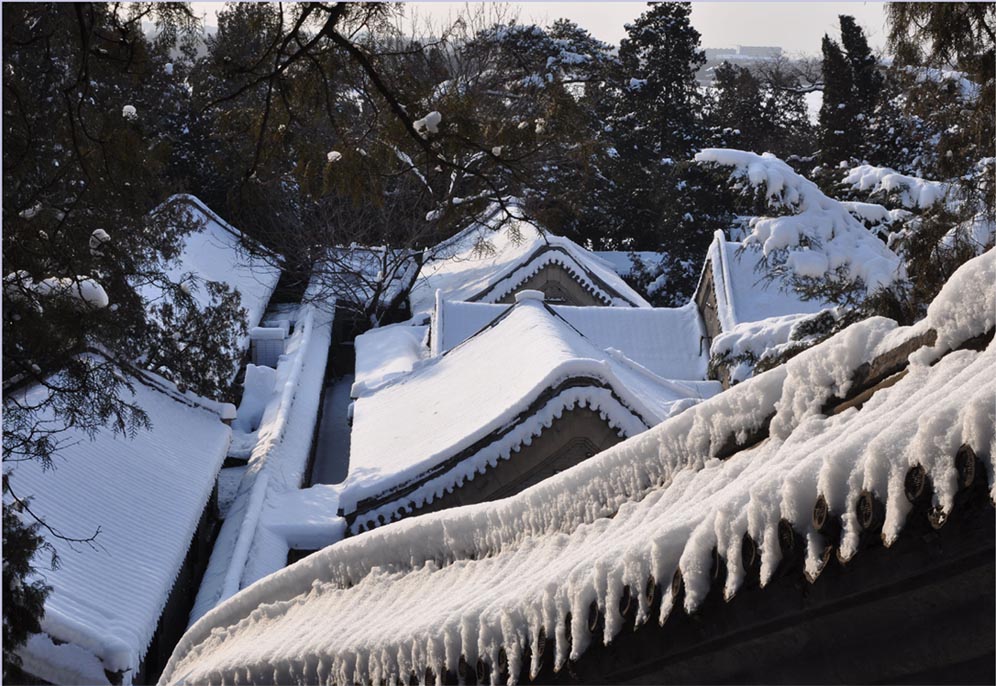 雪.颐和园 摄影 田园城市