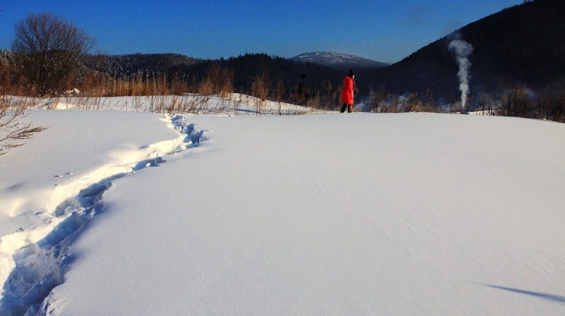 踏雪寻觅 摄影 文影1953