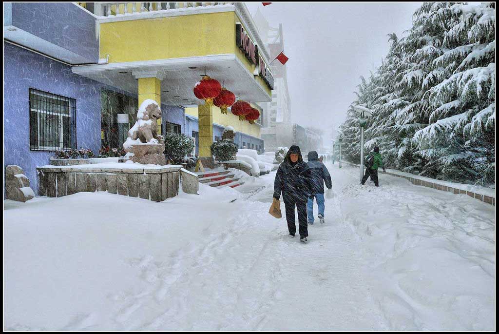 雪中 摄影 春天080