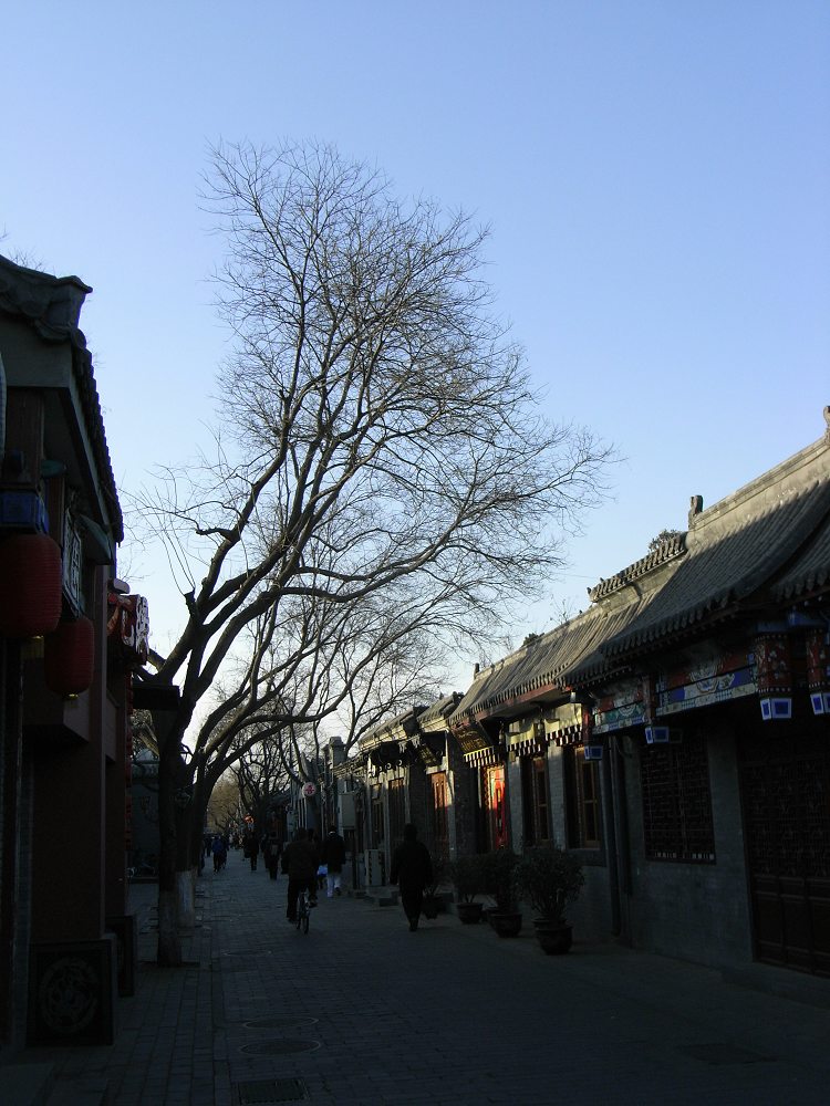 北京胡同----北京南锣鼓巷200902 摄影 菲菲20091022