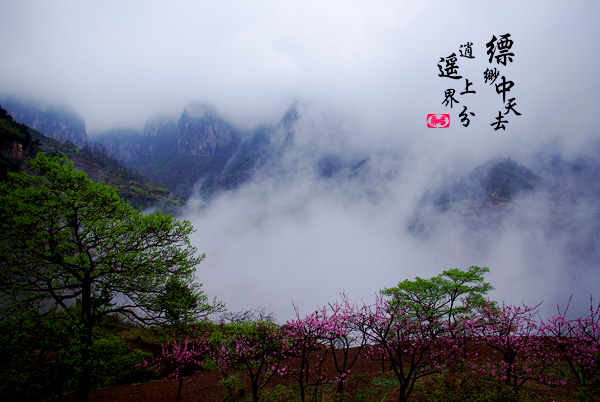 如仙 摄影 奔跑的雨