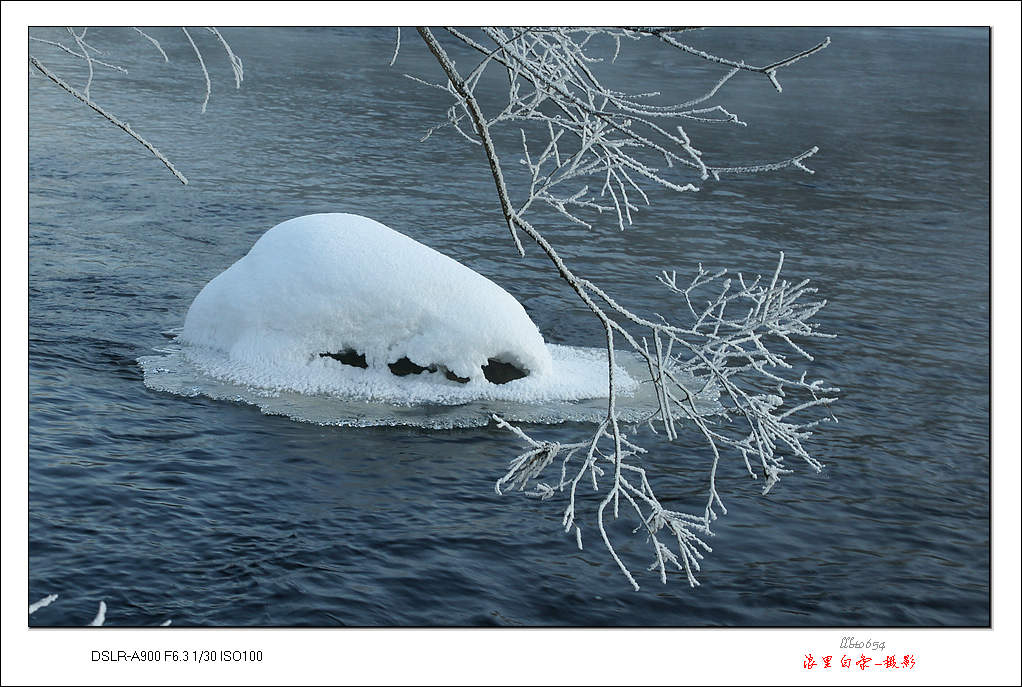 水中雪韵 摄影 浪里白条a