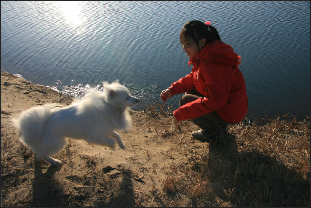 女孩与爱犬 摄影 天门山隐士