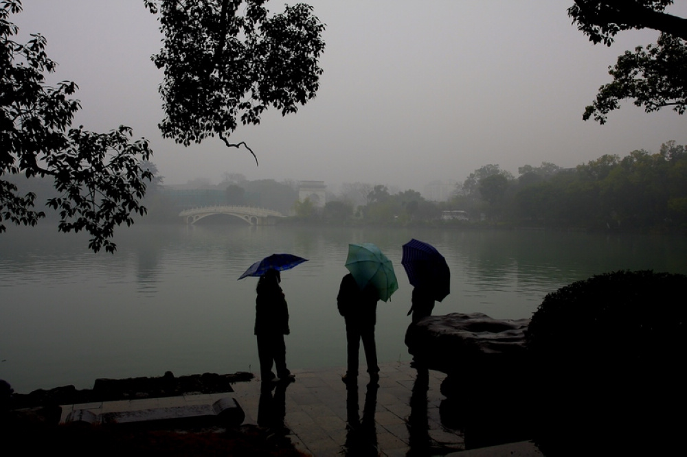 烟雨楁瑚(4)(可点击放大图片) 摄影 侗家山妹