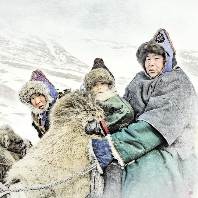 驼峰一家人 摄影 明浩