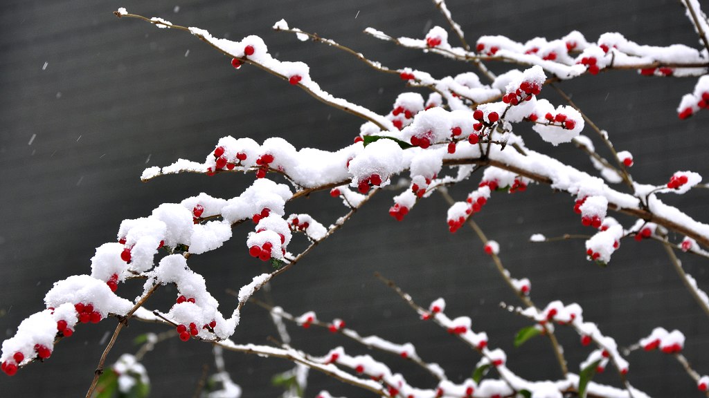 傲雪 摄影 水穷处