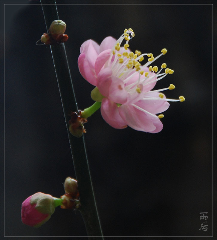 雨后 摄影 东边日出