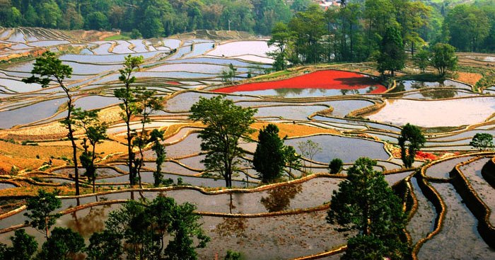 田园 摄影 随心A