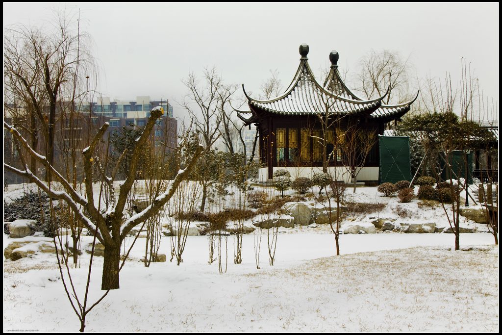 京城第三场雪 摄影 老士兵