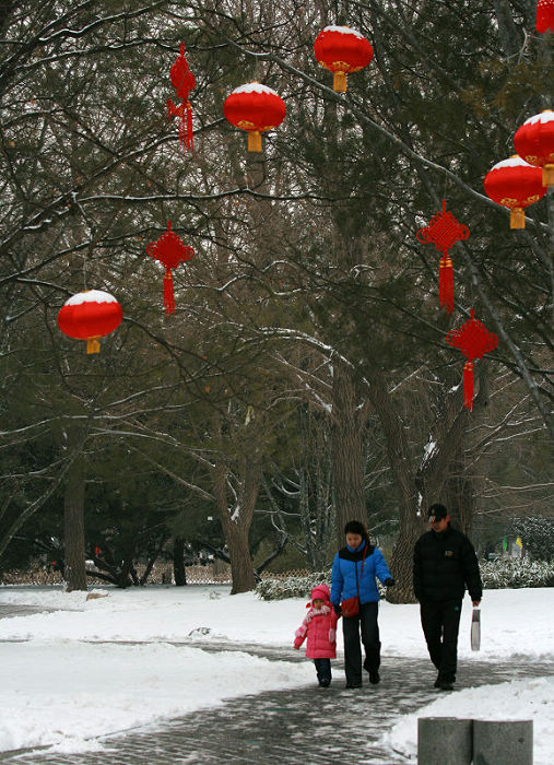 雪后紫竹院 摄影 槐荫轩主a