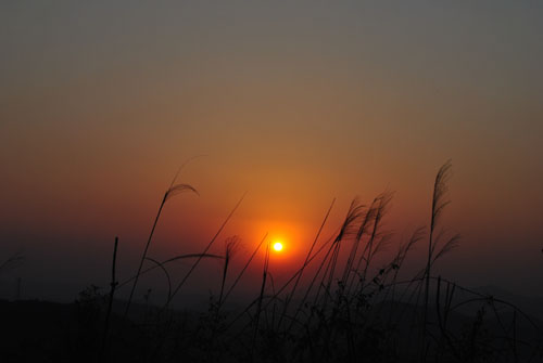 夕阳 摄影 影好