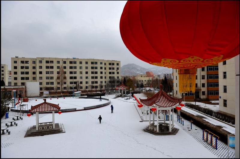 10年第一场雪 摄影 白丑