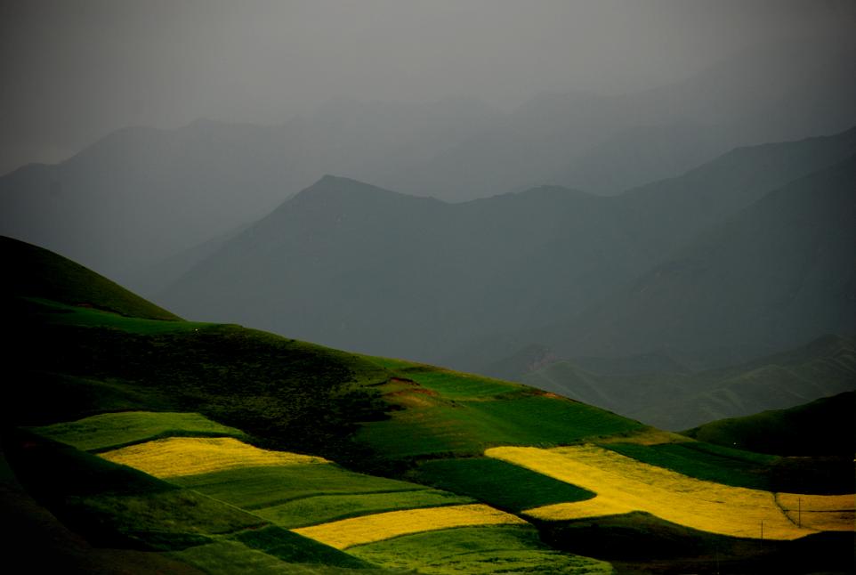 山地飘香 摄影 绿色田园