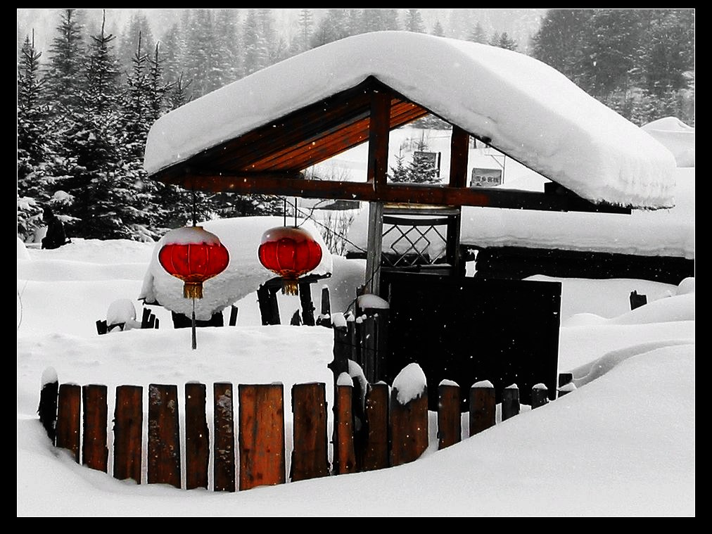 瑞雪迎春 摄影 春雨潇潇